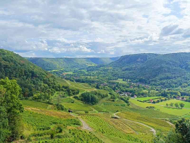 Un paysage avec des arbres, des collines, photo gratuite