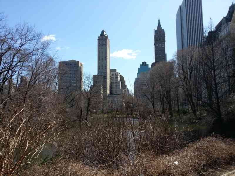 The facade of The Pierre Hotel near Central Park in New York City, USA free photo