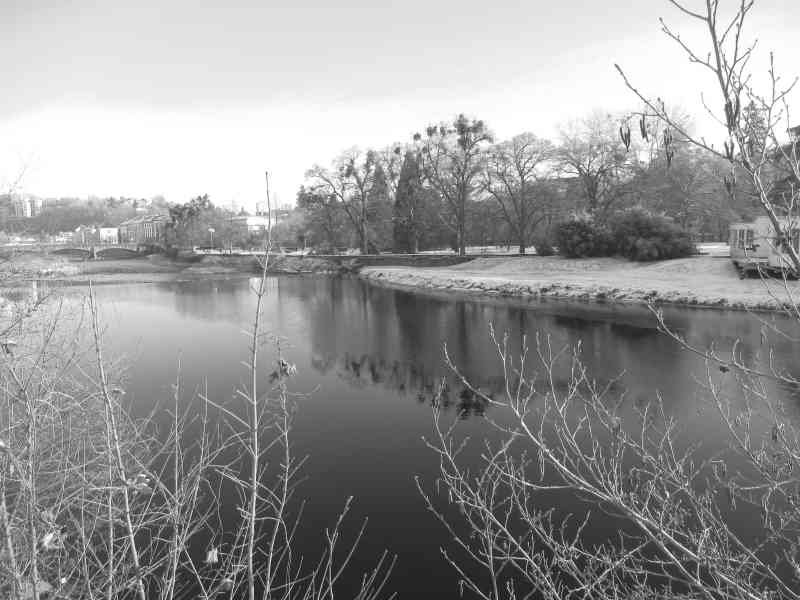 Une rivière ou un lac, avec des arbres, photo gratuite