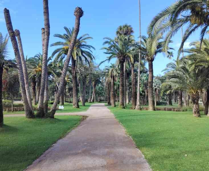 Parc de la Ligue arabe à Casablanca au Maroc photo gratuite