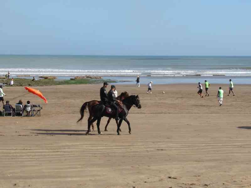 Mounted police patrol on El Jadida beach free photo