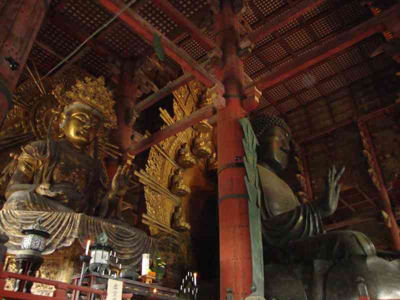 Buddha statue inside Tōdai-ji Temple in Nara, free photo