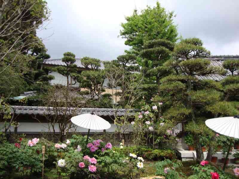 Jardin de fleurs traditionnel japonais photo gratuite