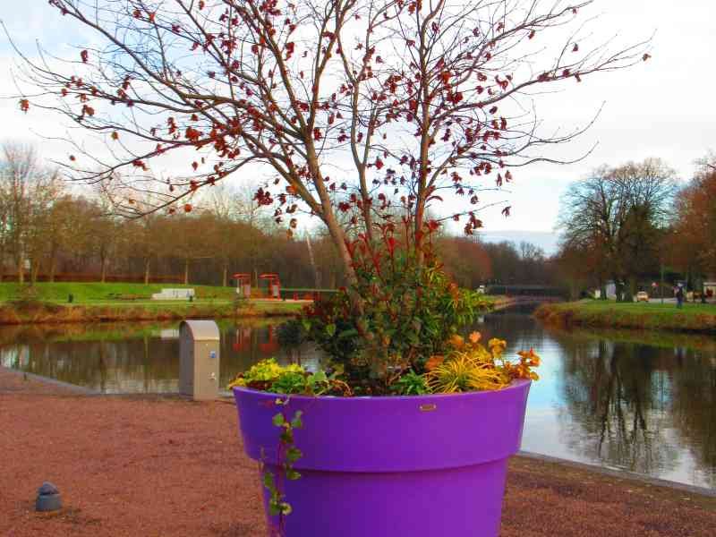 Un grand pot de fleurs décoratif contenant un arbre et d'autres plantes, photo gratuite