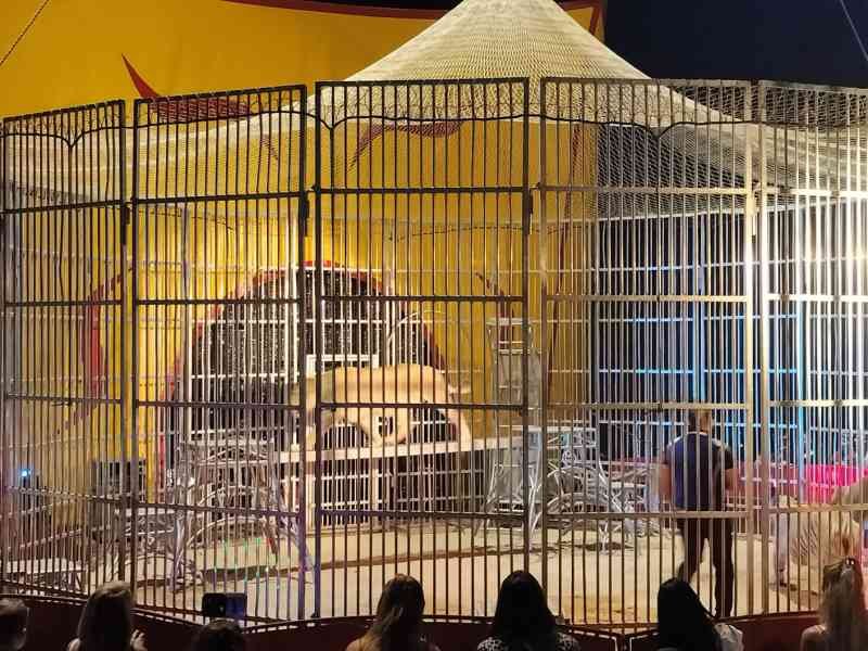 Cages aux fauves au cirque