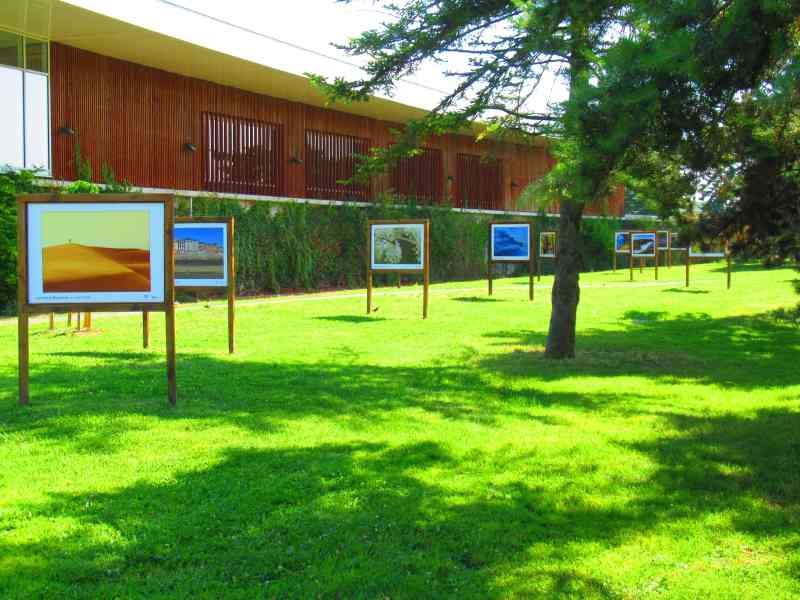 Une exposition de photographies sur une pelouse, un arbre à côté, photo gratuite
