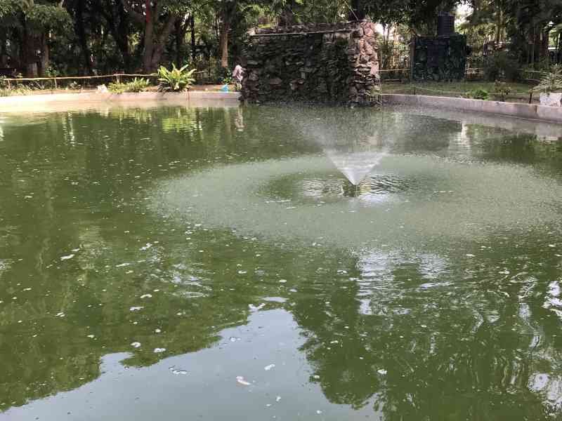 Piscine verte photo gratuite