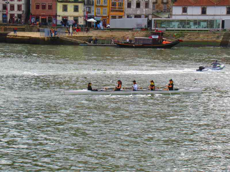 Aviron sur le Douro à Porto