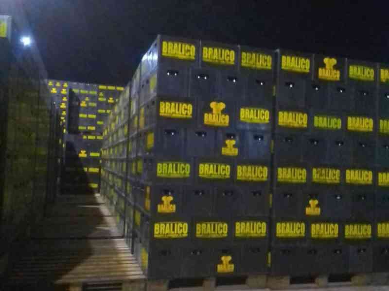 Palettes empilées : Organisation parfaite des casiers en entrepôt Bralico photo gratuite