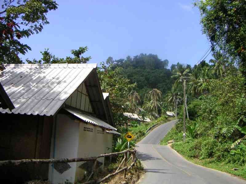 Des maisons au bord d'une route sinueuse montant une colline couverte de végétation dense et de palmier, palmier, photo gratuite