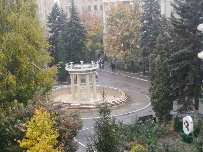 Sapins autour de l'Université d'Etat de Saratov en Russie photo gratuite - Tannen rund um die Staatliche Universität Saratow in Russland kostenloses Foto