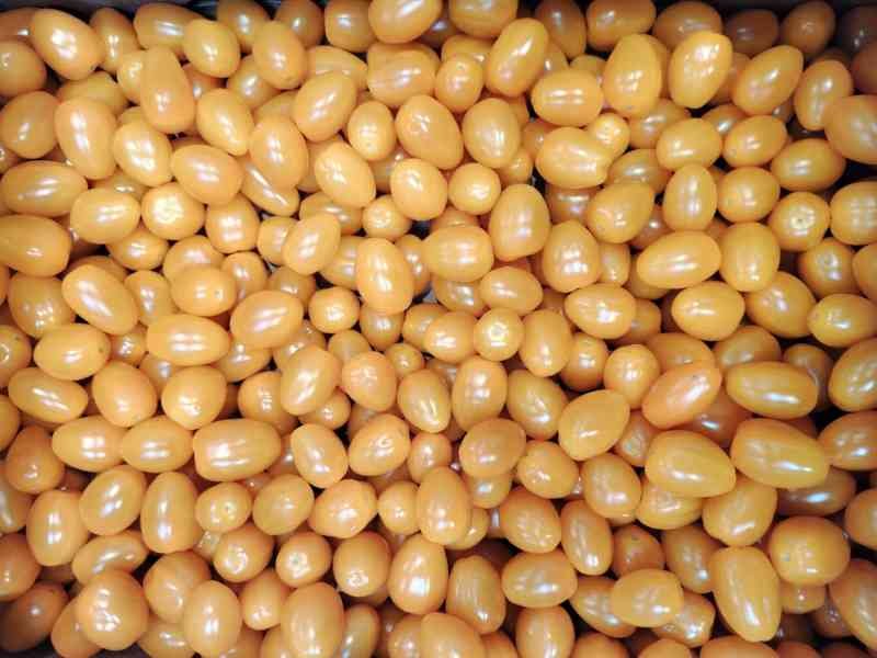 Tomates cerises jaunes