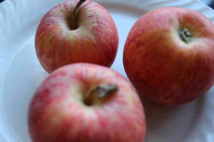 des pommes dans une assiette photo gratuite
