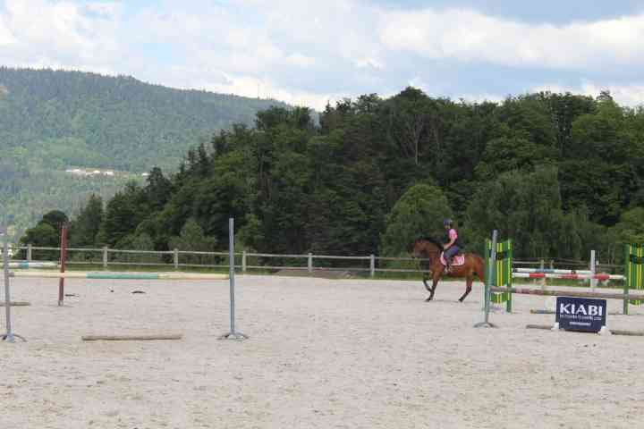 Un cheval monté par une personne dans un manège, le saut d'obstacles, équitation, photo gratuite