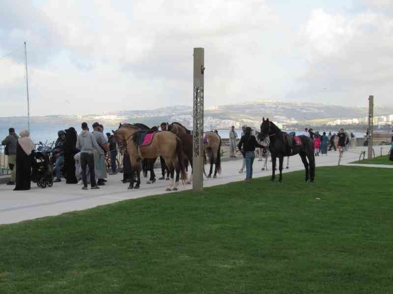 Photo gratuite des personnes avec des chevaux sur la corniche à Tanger