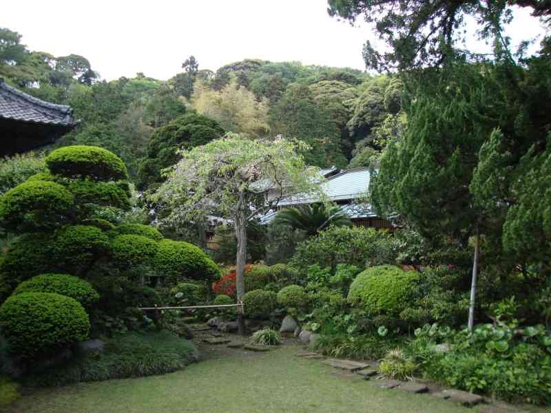 Jardin d'un temple bouddhiste zen photo gratuite