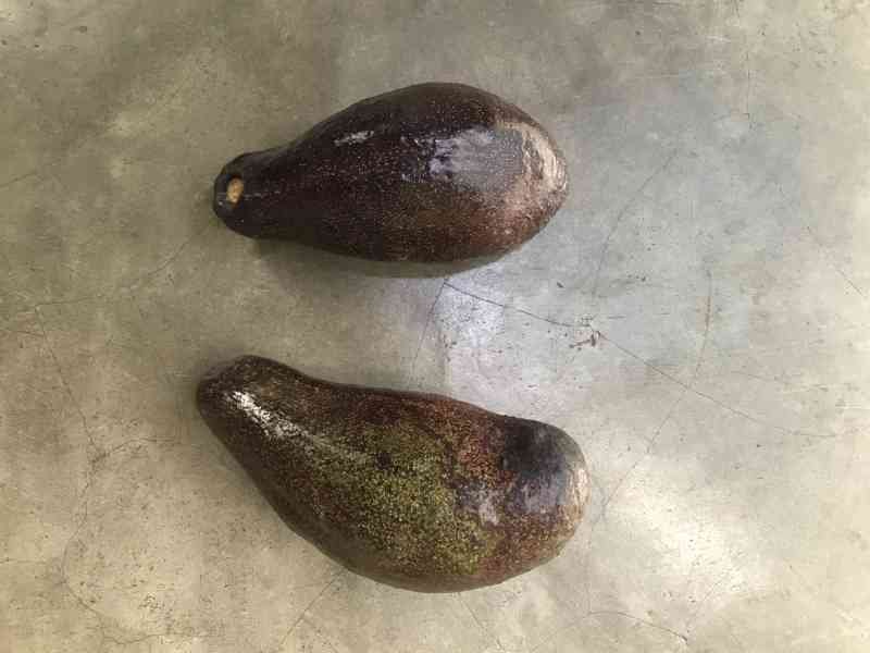 Deux avocats posés au sol photo gratuite