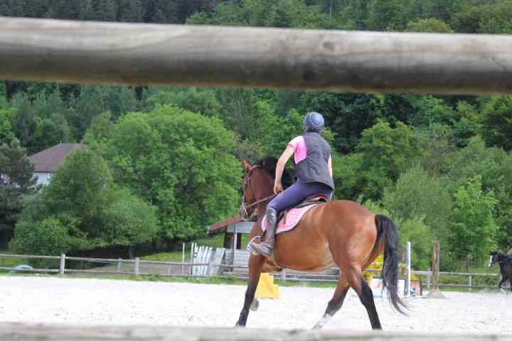Une personne montant un cheval ou un poney dans un enclos extérieur, équitation, photo gratuite