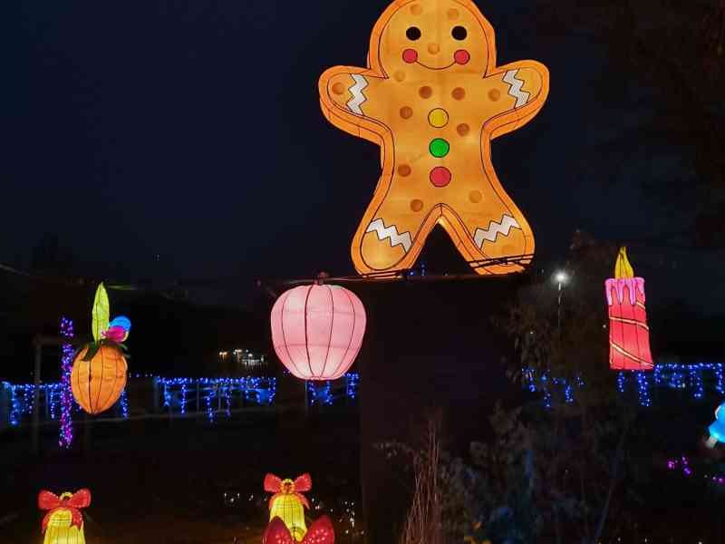 Bonhomme en pain d'épices suspendu au sentier des lanternes à Metz