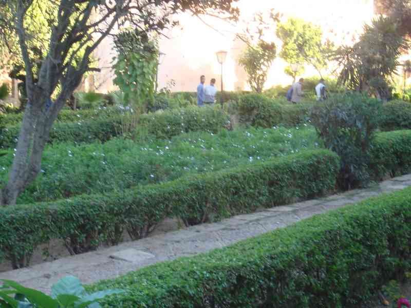 Un jardin verdoyant à la Kasbah des Oudayas à Rabat, Maroc photo gratuite