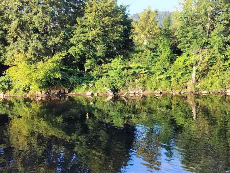 La sensibilité d'une rivière douce dans la nature photo gratuite - Die Sensibilität eines sanften Flusses in der Natur, kostenloses Foto