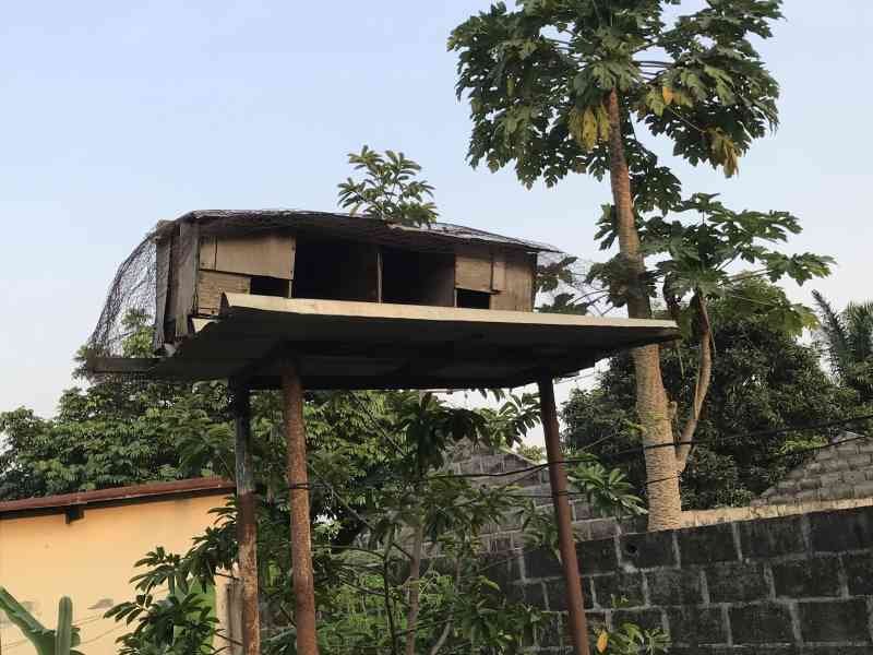 Une cage pour oiseaux en hauteur photo gratuite