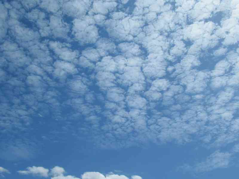 White cumulus clouds in the blue sky