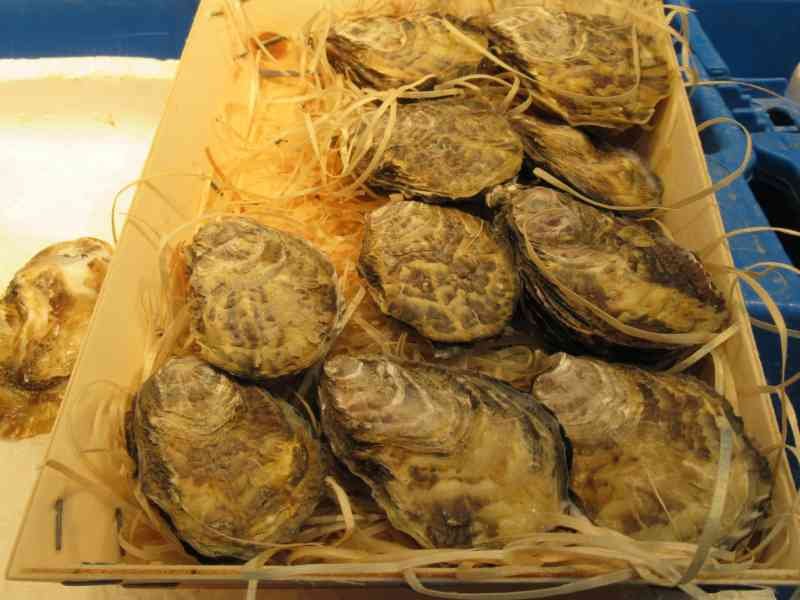 Des huîtres crues présentées dans une bourriche en bois, photo gratuite