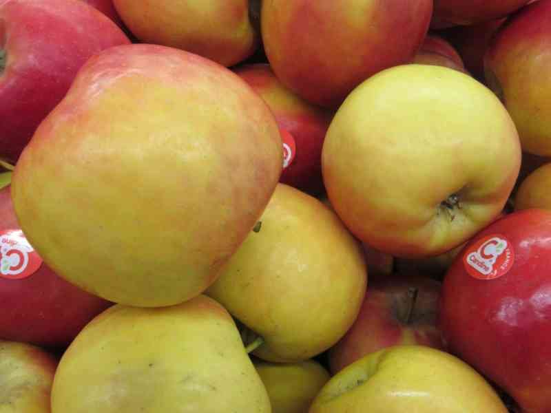 Pommes, fruits, photo gratuite