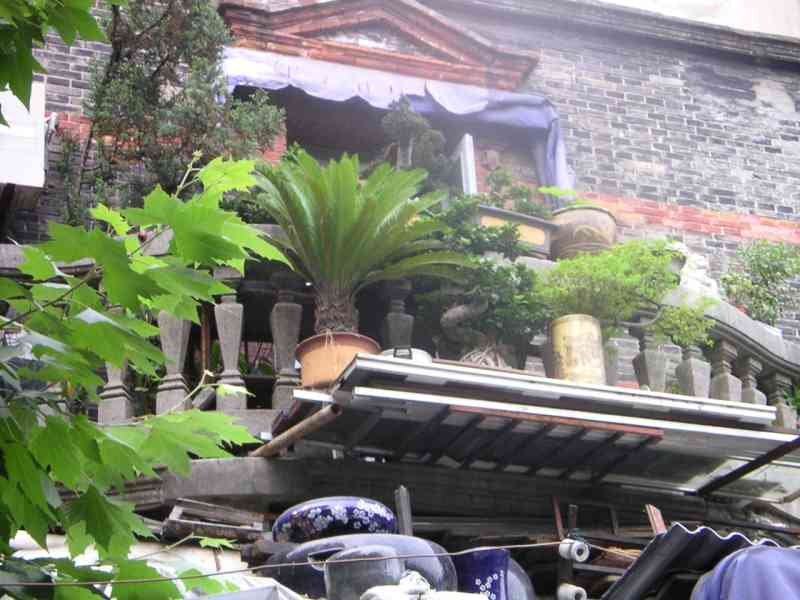 Pot de fleur sur la toiture d'une maison, Chine, Asie photo gratuite