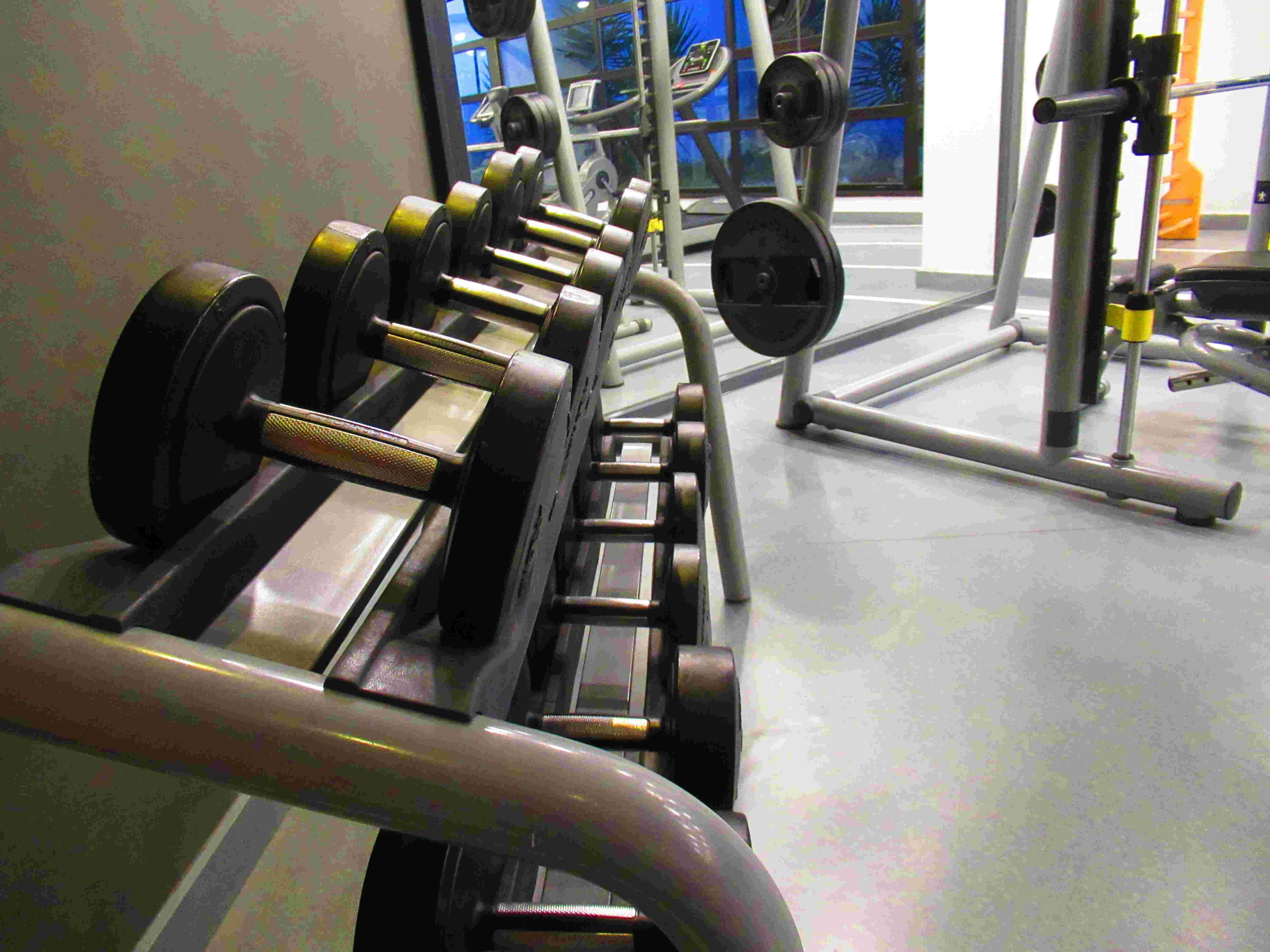 Sport et altères et gym, salle de muscu