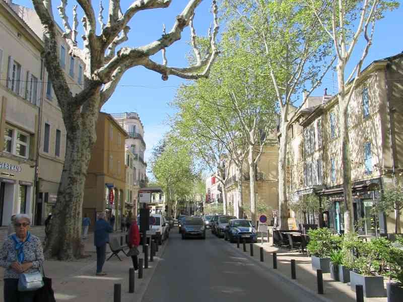 Avenue à Salon de Provence