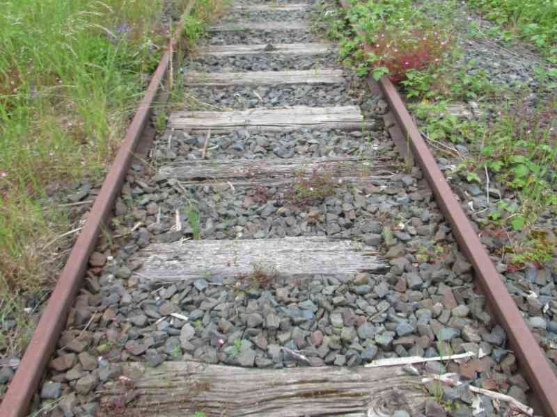 Rails d'une voie ferrée