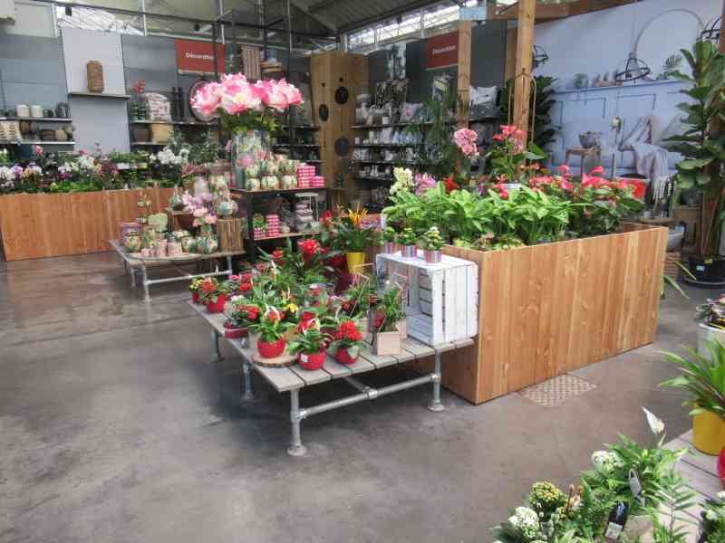 Intérieur d'une jardinerie, photo gratuite