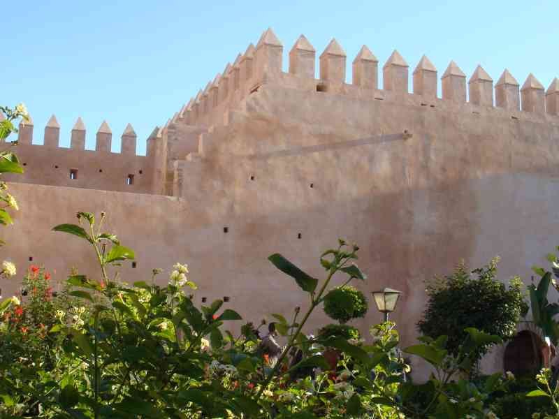 Jardin fleuri au pied des remparts de la Kasbah des Oudayas photo gratuite