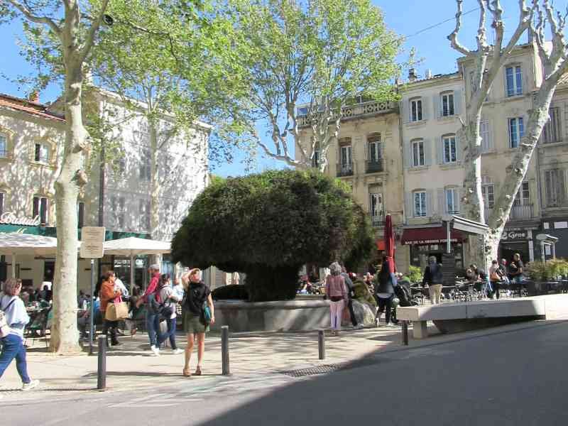La Fontaine Moussue à Salon de Provence en France