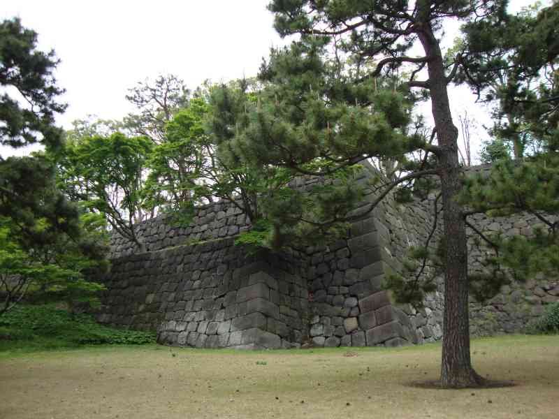 Un arbre sur le terrain du château d’Edo, Japon, Asie photo gratuite