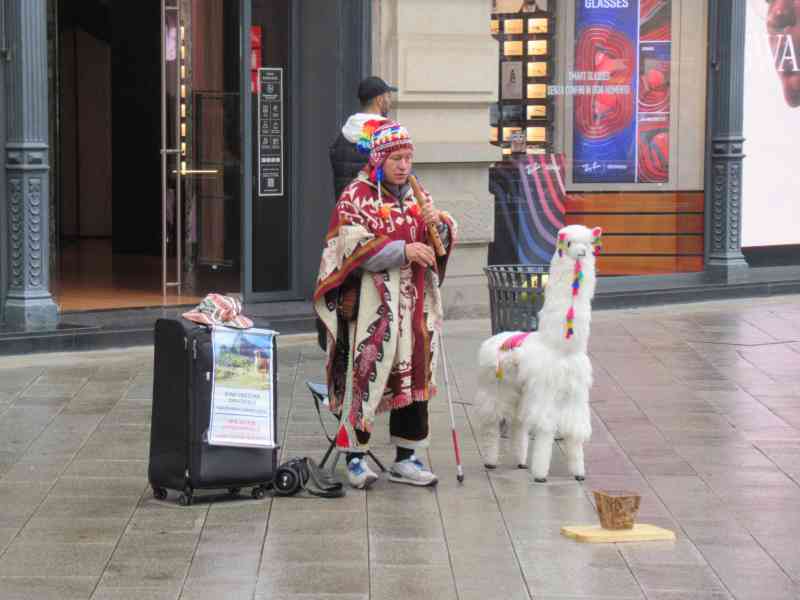 Street musician in traditional dress with a stuffed llama free photo