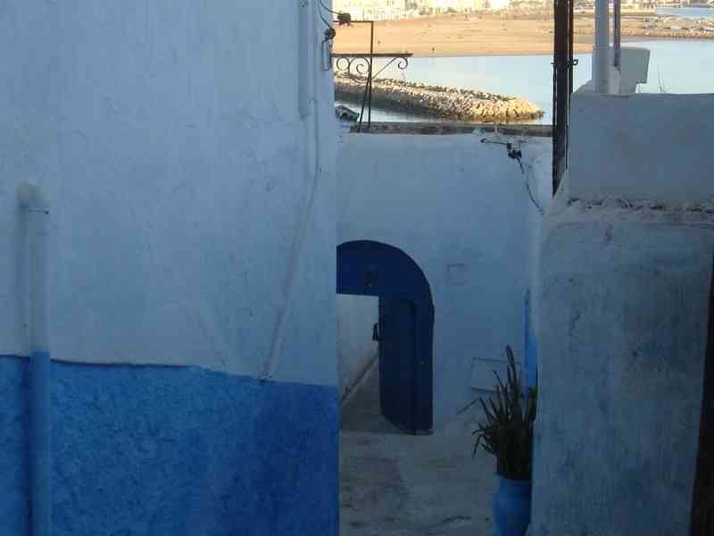 Une ruelle de la Kasbah des Oudayas entourée des bâtiments bleus et blancs qui emmène à la plage photo gratuite