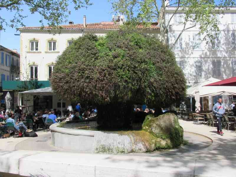 Personnes assises autour de la fontaine Moussue à Salon de Provence