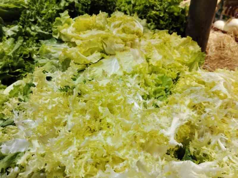 Salade laitue en vente dans un marché photo gratuite - Salat zum Verkauf auf einem Markt. Kostenloses Foto