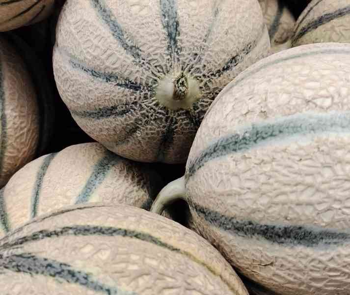 Pile de melons mûrs, Pilha de melões maduros Foto grátis