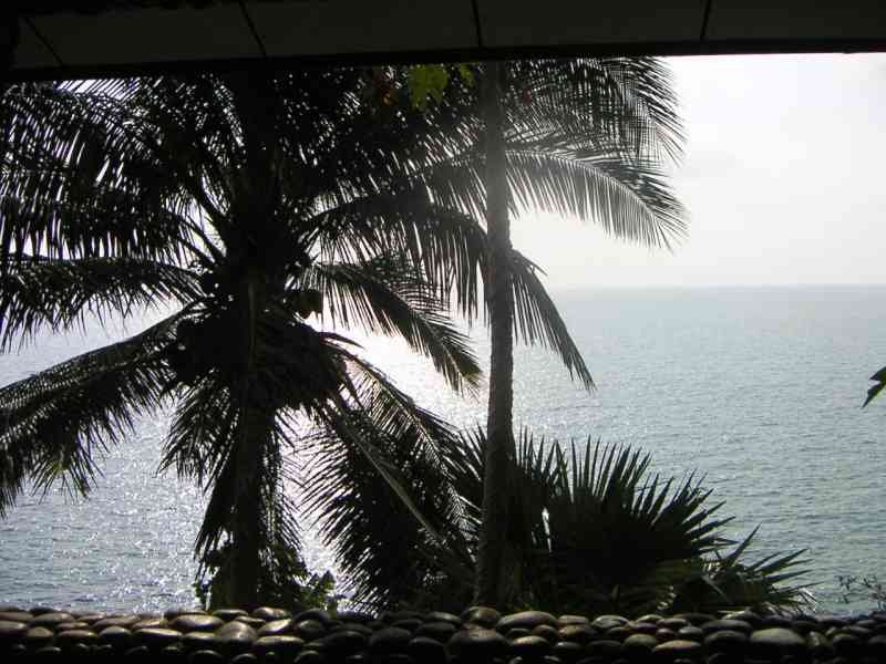 Un paysage marin avec des palmiers, photo gratuite