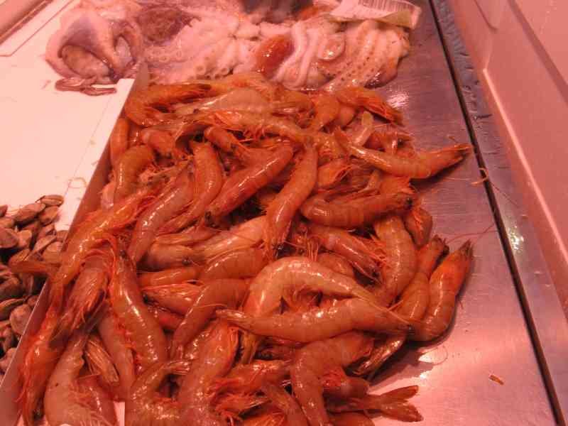 Un étal de poissonnerie où sont exposés des produits de la mer frais, photo gratuite