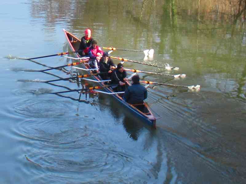 Aviron sur la Moselle au plan d'eau à Metz