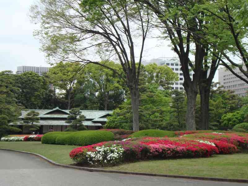 Le jardin pittoresque du château d'Edo, variété de plantes et de fleurs, Japon, Asie, photo gratuite