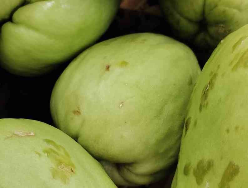 Pile de chayottes vertes, Pilha de chuchus verdes Foto grátis