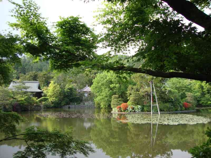 Un vaste jardin de promenade autour de l'étang, photo gratuite