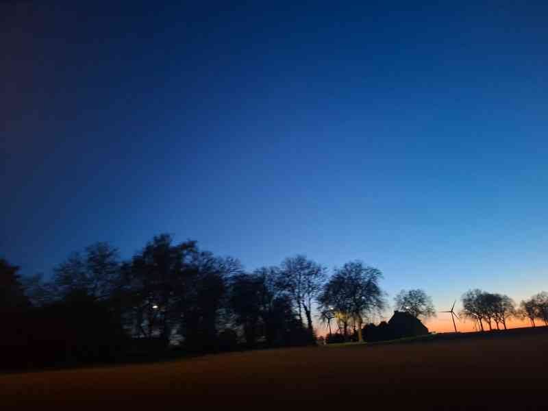 Ciel nocturne, arbre, photo gratuite