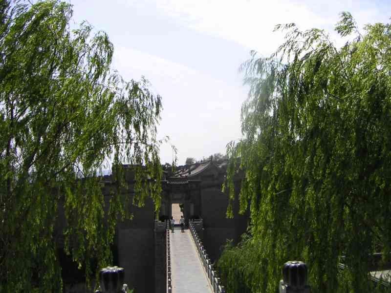 Plante saule pleureur à la porte d'entrée de la ville de Xi'an, les murs de la ville, Chine, Asie photo gratuite
